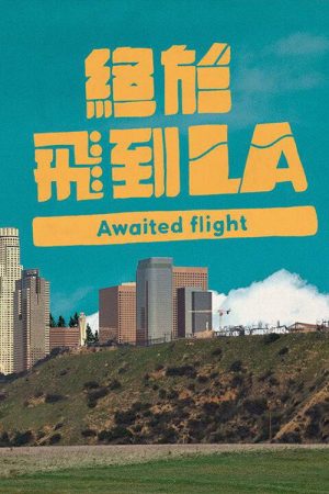 Awaited Flight (2022) poster