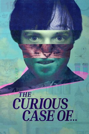 The Curious Case of… (2025) poster