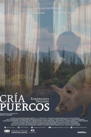 Esmeralda’s Twilight (2018) poster