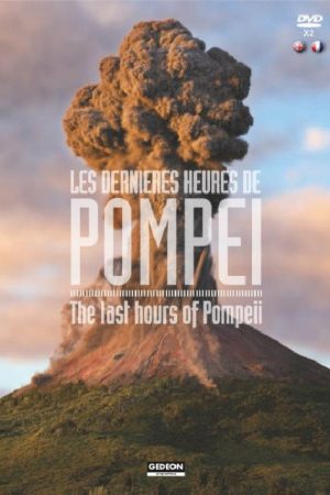 The Last Hours Of Pompeii (2020) poster