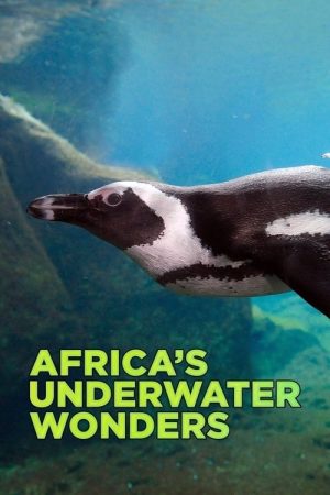Africa’s Underwater Wonders (2016) poster