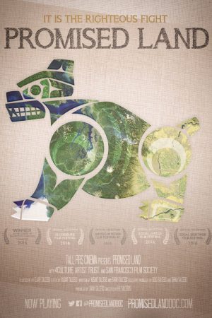 Promised Land (2016) poster