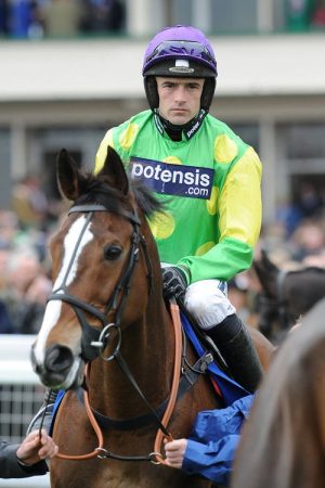 ROAD TO CHELTENHAM (2019) poster