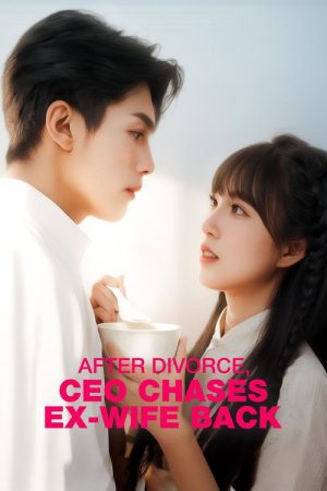 After Divorce, CEO Chases Ex-Wife Back (2023) poster