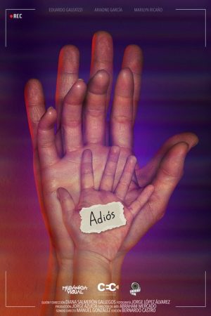 Adiós (2022) poster