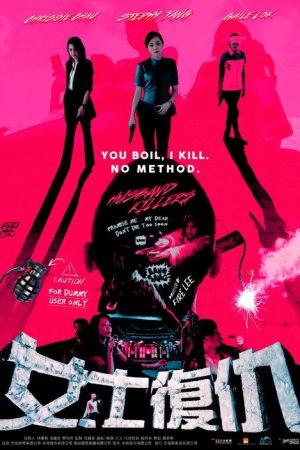 Husband Killers (2017) poster