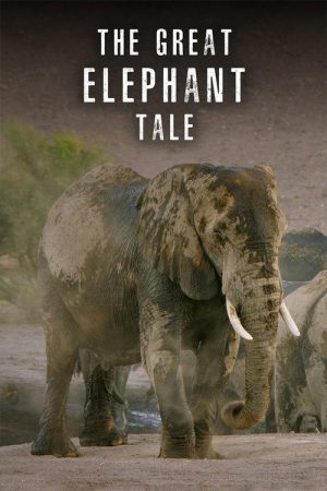 The Great Elephant Tale (2020) poster