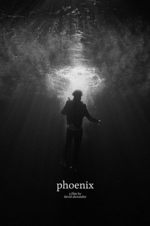 Phoenix (2021) poster