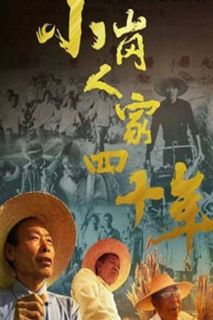 小岗人家四十年 (2018) poster