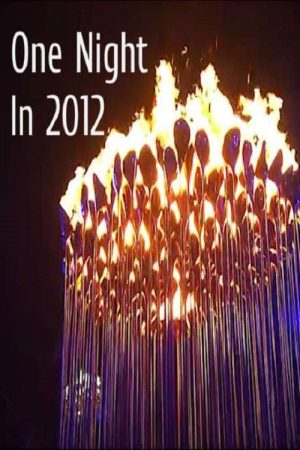 One Night In 2012 (2016) poster