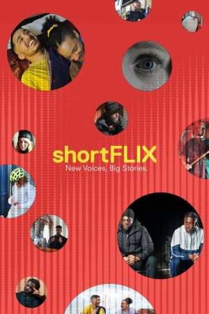 shortFLIX (2018) poster