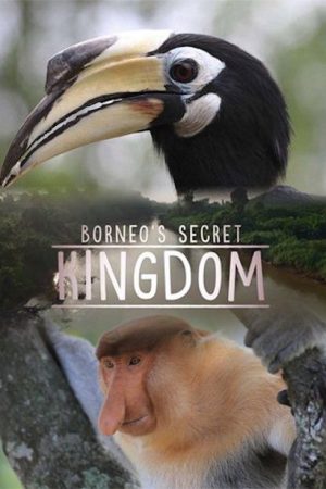 Borneo’s Secret Kingdom (2017) poster