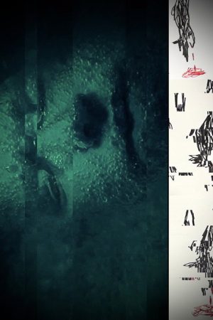 Three Wolves (2025) poster
