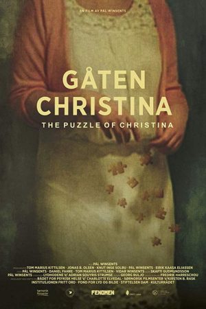 The Puzzle of Christina (2019) poster