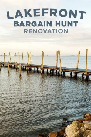 Lakefront Bargain Hunt Renovation (2017) poster