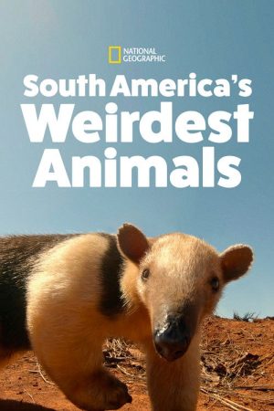 South America’s Weirdest Animals (2020) poster