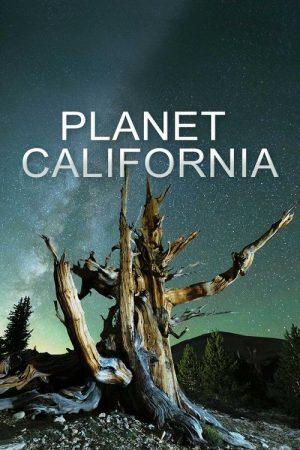 Planet California (2022) poster