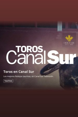 Toros Canal Sur (2020) poster