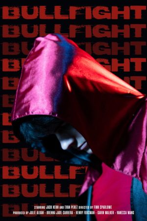 Bullfight (2026) poster