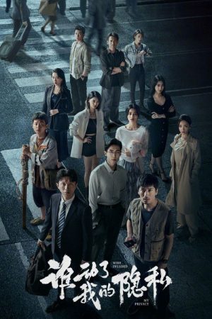 Who Invaded My Privacy (2026) poster
