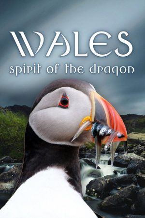 Wales: Spirit of the Dragon (2022) poster