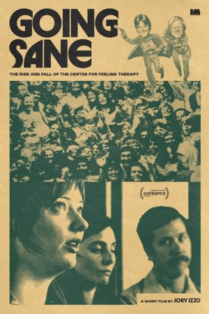 Going Sane: The Rise and Fall of the Center for Feeling Therapy (2026) poster