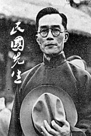 民国先生 (2017) poster