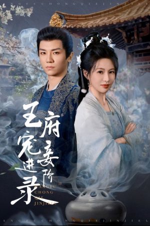 Rise of the Beloved Concubine (2025) poster