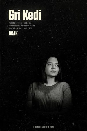 Gri Kedi (2021) poster