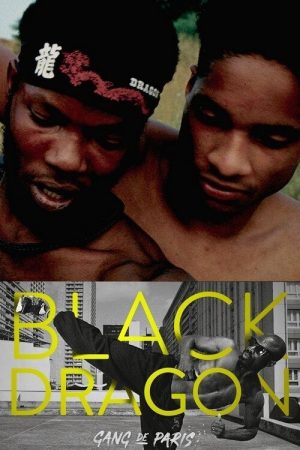 Gang de Paris : Black Dragon (2021) poster