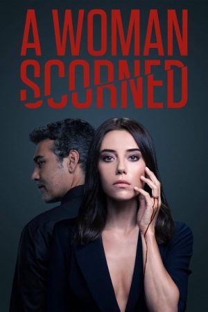 A Woman Scorned (2020) poster