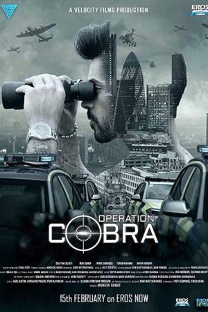 Operation Cobra (2019) poster