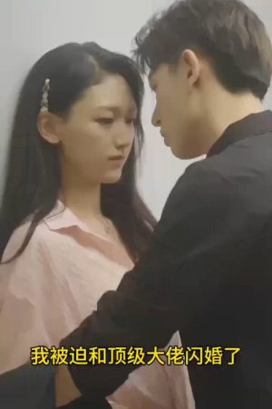 我被迫和顶级大佬闪婚了 (2023) poster
