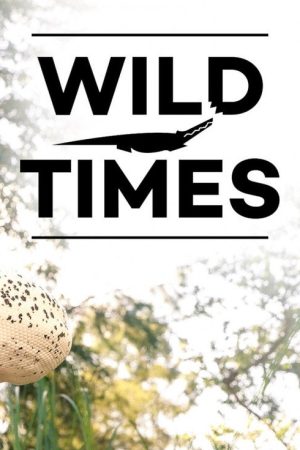 Wild Times (2018) poster