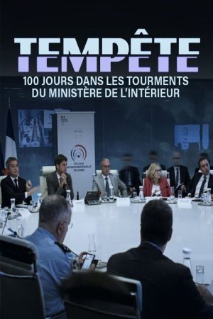 Tempête : 100 jours dans les tourments du ministère de l’Intérieur (2025) poster