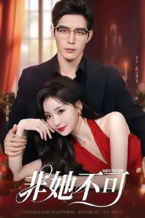 非她不可 (2025) poster