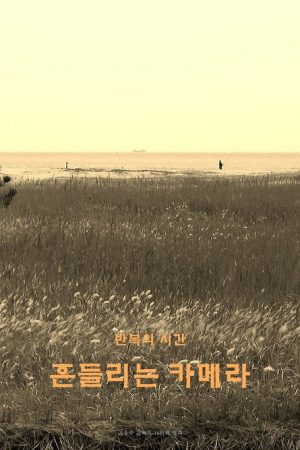 wandering camera (2020) poster