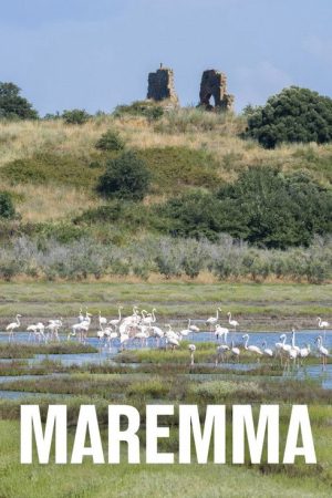 Maremma – Italiens wilde Schönheit (2023) poster