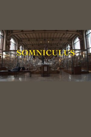 Somniculus (2017) poster