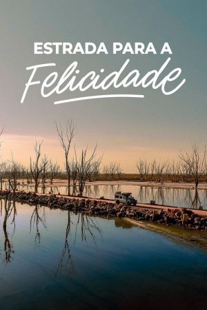 Estrada para a Felicidade (2021) poster