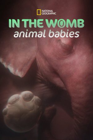 In the Womb: Animal Babies (2022) poster
