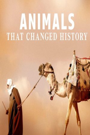 Animals That Changed History (2016) poster
