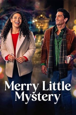 Merry Little Mystery (2025) poster