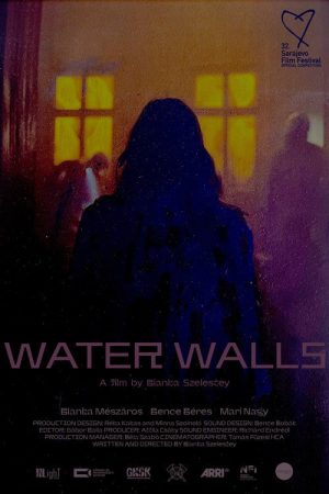 Water Walls (2026) poster