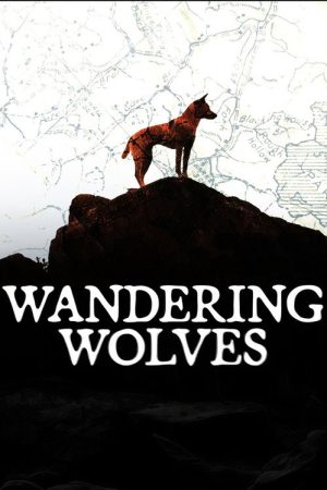 Wandering Wolves (2017) poster
