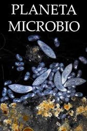 Planeta Microbio (2024) poster