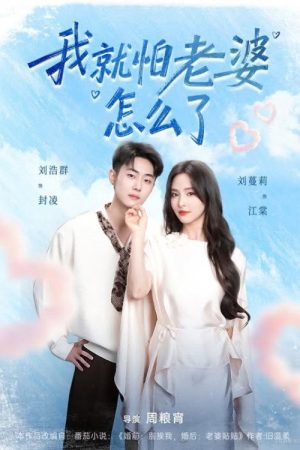 我就怕老婆怎么了 (2026) poster