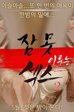 Sleepless Sex 2 (2016) poster