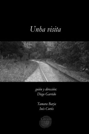 Unha visita (2017) poster