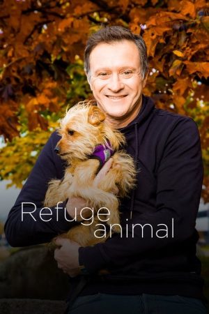 Animal Shelter (2016) poster